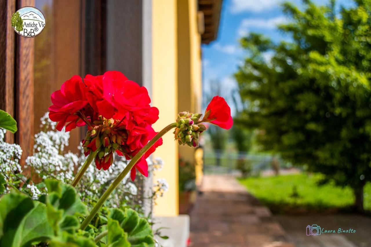 Antiche Vie B&B Serramazzoni Εξωτερικό φωτογραφία