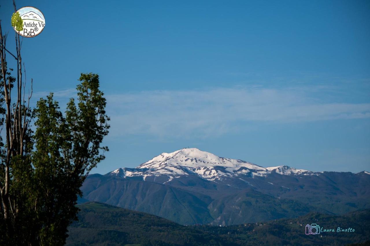 Antiche Vie B&B Serramazzoni Εξωτερικό φωτογραφία